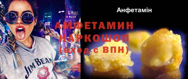 трава Няндома