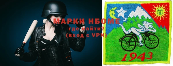 spice Верея